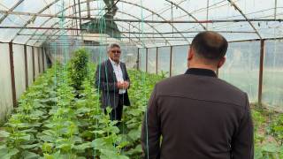 Soliqchi – tadbirkorga ko‘makchi