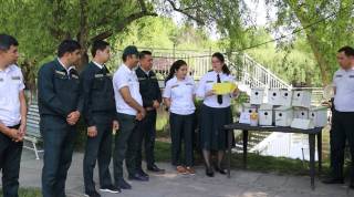 Тошкентда зараркунандаларга қарши табиий усуллар қўлланилмоқда