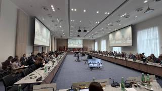 Жиноятчиликка мажбуран жалб этилган болаларни жабрланувчи деб эътироф этиш зарур