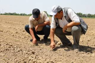 “Bir kontur — bir mahsulot”  taraqqiyot drayveri