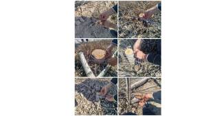 Noqonuniy kesilgan teraklar