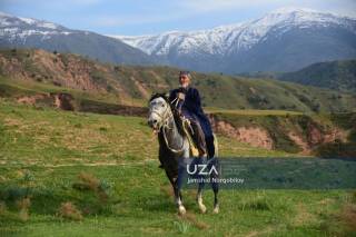 92 ёшли чавандоз ва Хуммоннинг машҳур қуртобаси