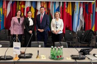 О правах ребенка в Узбекистане - на конференции в Вене