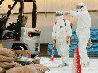 Жапонияда құс тұмауы өршіді