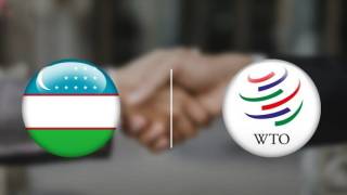 Ўзбекистон ва ЖСТ: Жаҳон иқтисодиётига интеграциялашув бизга нима беради?