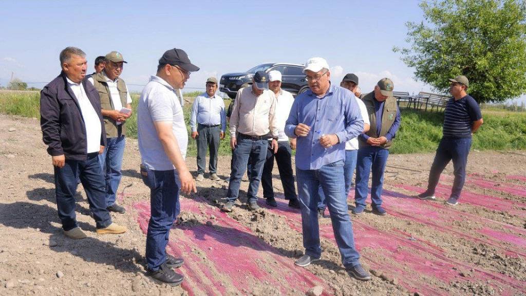 Qishloq xo‘jaligi tarmoqlarida innovatsion loyihalar ko‘paygan