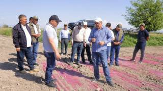 Qishloq xo‘jaligi tarmoqlarida innovatsion loyihalar ko‘paygan