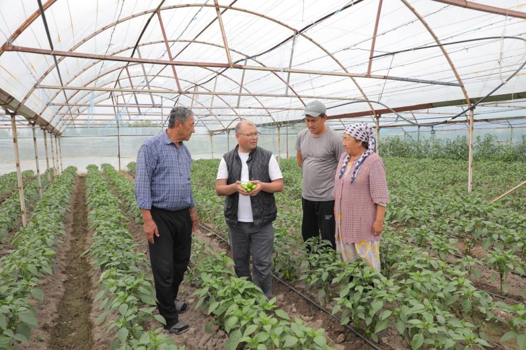 Кичик томорқа — катта даромад манбаи