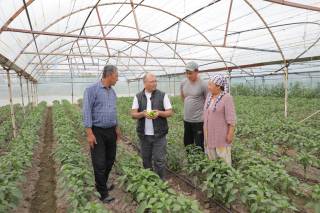 Кичик томорқа — катта даромад манбаи