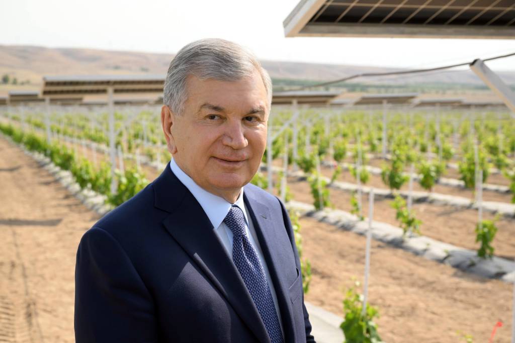 Davlatimiz rahbari Quvada joriy etilgan agrovoltaika texnologiyasi bilan tanishdi