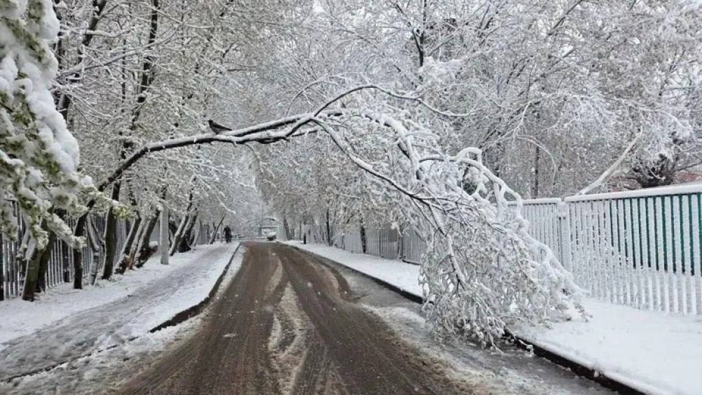 Moskvada qor: 150 yillik rekord yangilandi