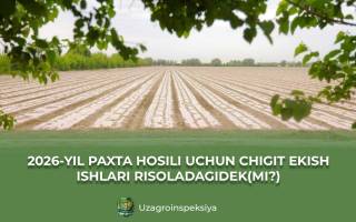 2026 йилги пахта ҳосилига тайёргарлик ишлари қониқарли ташкил этиляптими?