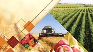 Приоритетные направления дальнейшего развития сельскохозяйственной отрасли