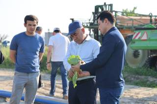 Piskentda bunyodkorlik loyihalari ko‘paymoqda