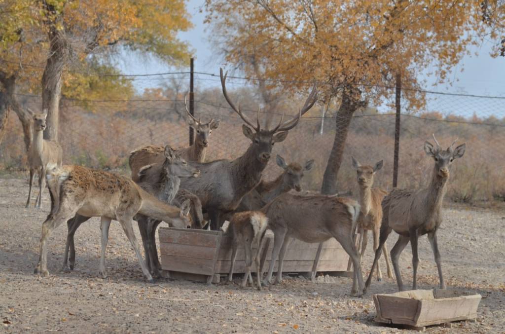Orolbo‘yining turistik salohiyatini oshirishdagi yutuqlar va istiqbollar