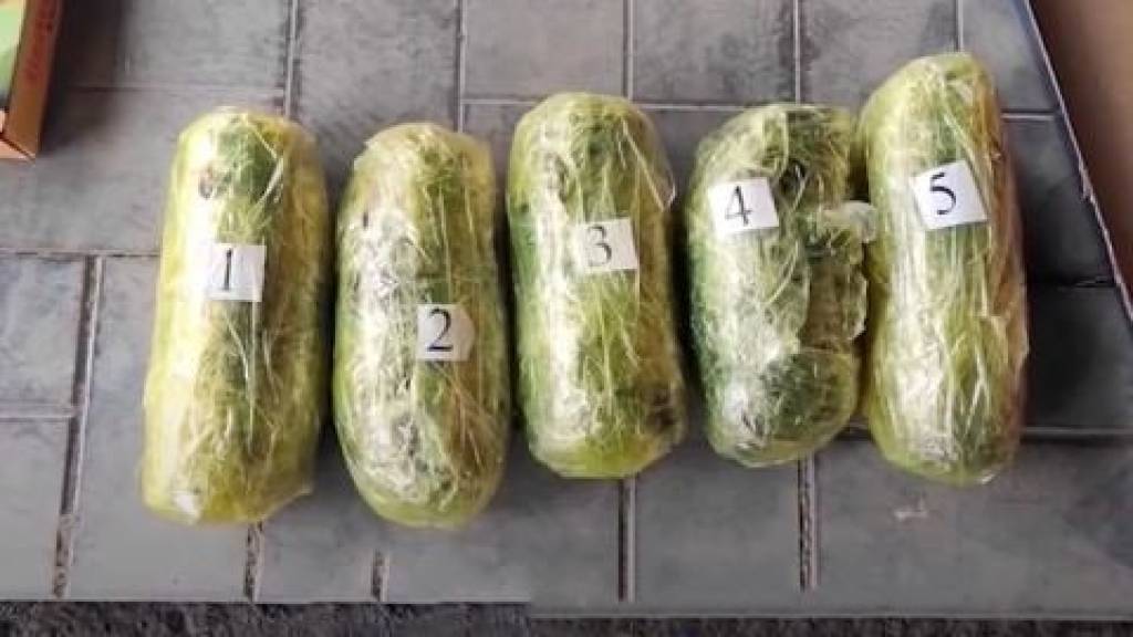 Tezkor tadbir va natija