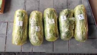 Тезкор тадбир ва натижа