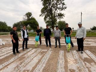 Сайхунободда ғўза орасида зира етиштириш йўлга қўйилди