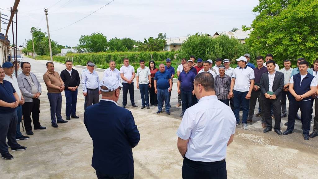 Томорқа қўшимча даромад манбаи