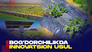Bog‘dorchilikda innovatsion usul
