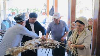 Marhamatlik pillakorlar mo‘l hosil yetishtirdi