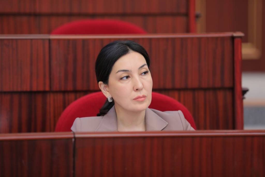 Проекты актов по правам и интересам детей подлежат обязательному согласованию с Детским омбудсманом