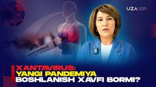 Хантавирус: янги пандемия бошланиш хавфи борми? (+видео)