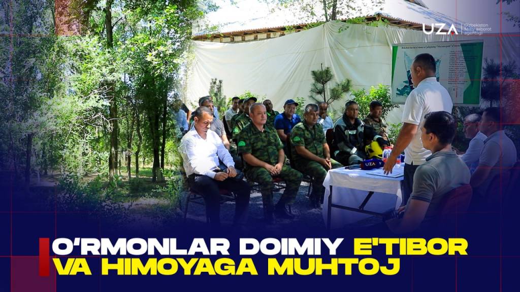 O‘rmonlar doimiy e’tibor va himoyaga muhtoj (+video)