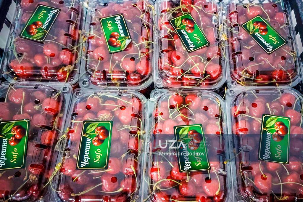 Фарғона гилоси экспорт географиясини кенгайтирди