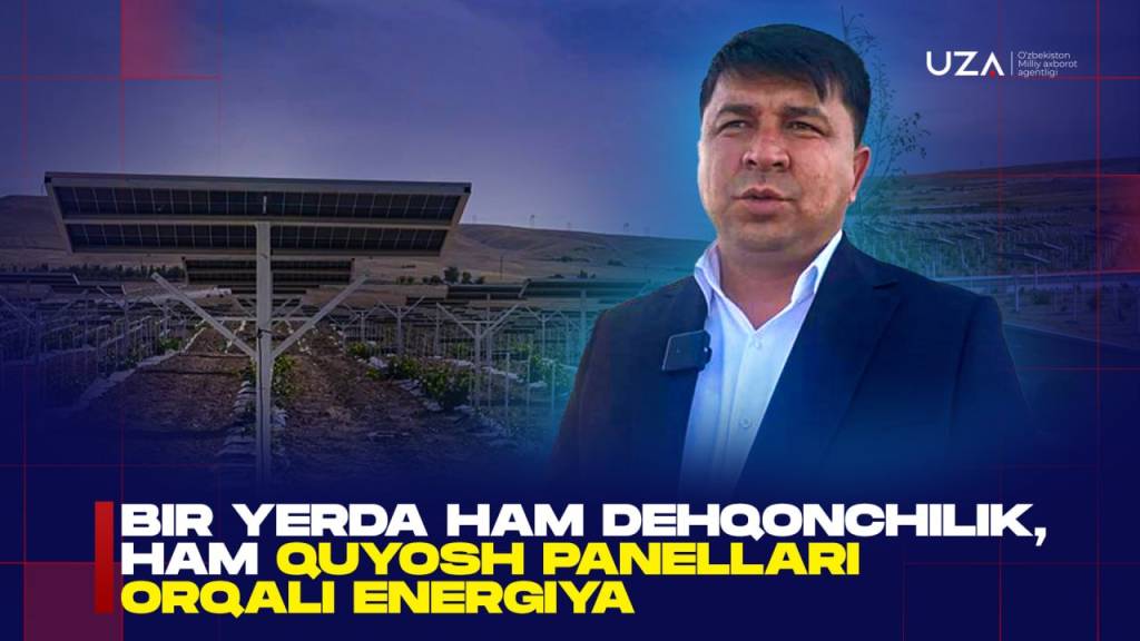 Бир ерда ҳам деҳқончилик қилиш, ҳам қуёш панеллари орқали энергия олиш мумкин (+видео)