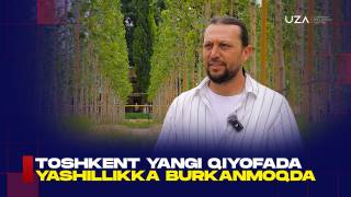 Тошкент янги қиёфада яшилликка бурканмоқда (+видео)