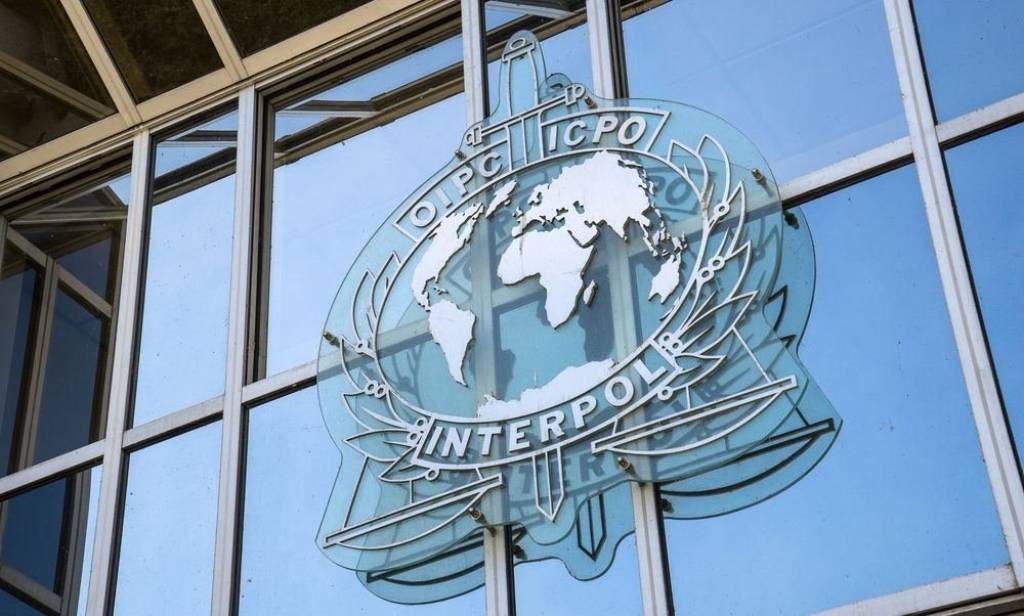 Interpolning “Trigger X” xalqaro operatsiyasida O‘zbekiston delegatsiyasi ham ishtirok etdi