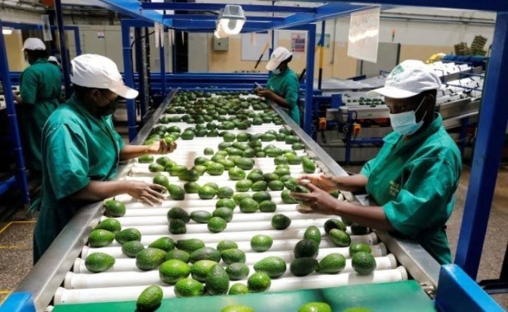 Xitoy Afrikaning aksar import mahsulotlari uchun tarifni bekor qildi