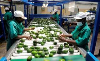 Xitoy Afrikaning aksar import mahsulotlari uchun tarifni bekor qildi
