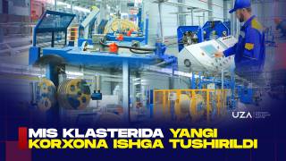 Mis klasterida yangi korxona ishga tushirildi (+video)