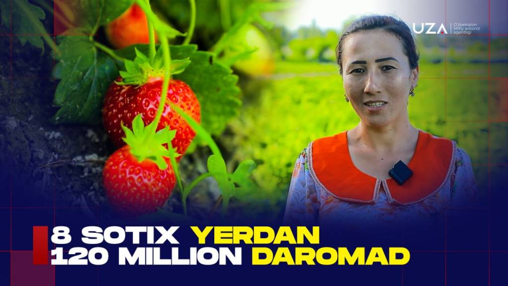 8 сотих ердан 120 миллион даромад (+видео)