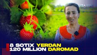 8 сотих ердан 120 миллион даромад (+видео)
