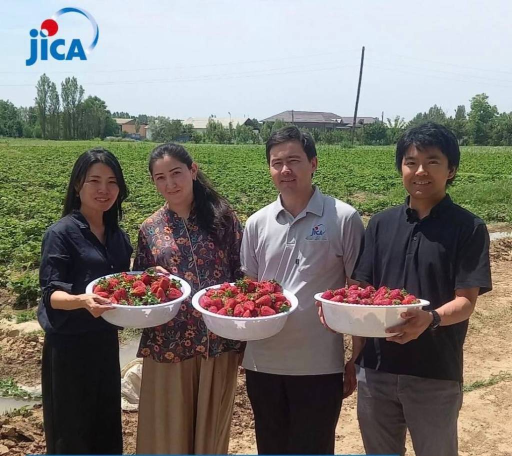 JICA битирувчиси Япония тажрибасини юртимизда жорий этмоқда