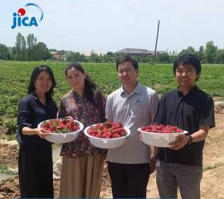 JICA битирувчиси Япония тажрибасини юртимизда жорий этмоқда