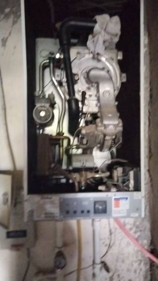 Газ ўғрилари фош этилди