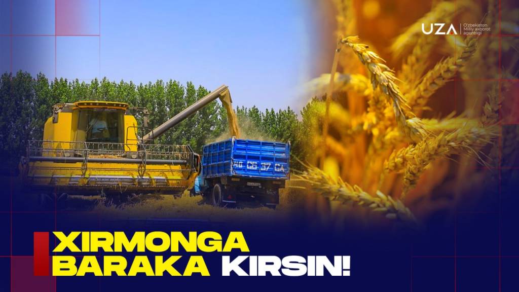Хирмонга барака кирсин