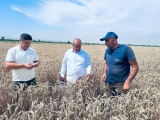 Уборочная страда продолжается