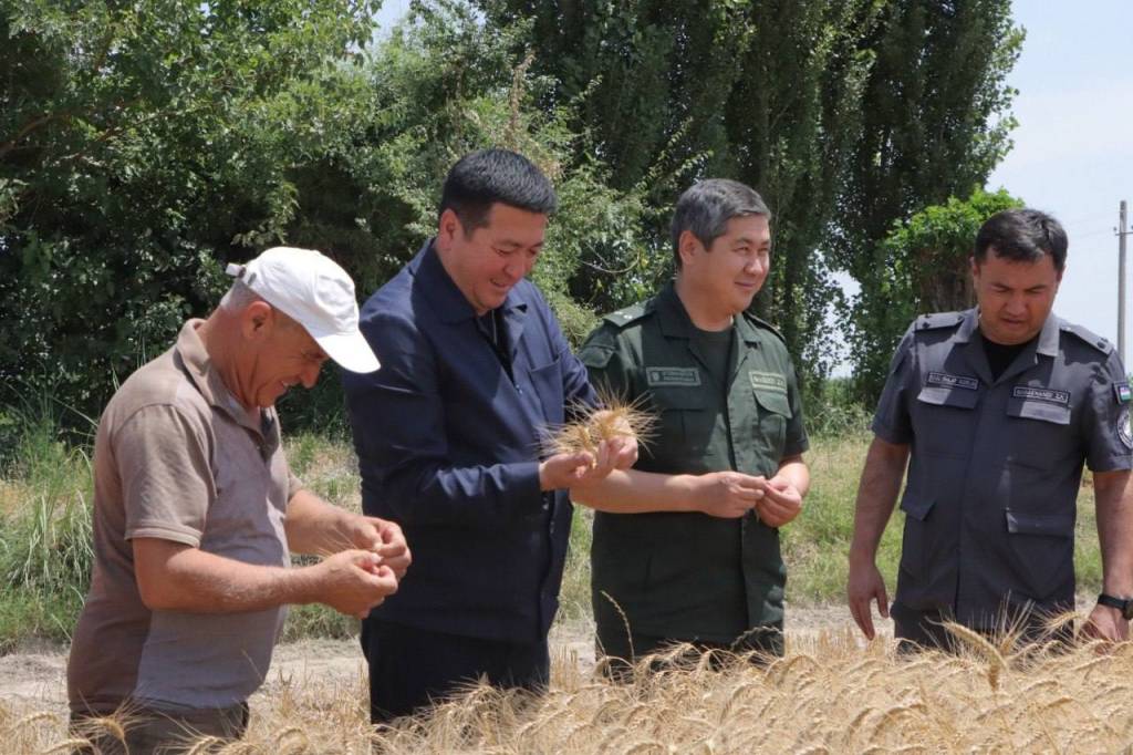 Гулистон ғаллакорлари зафар қучишди