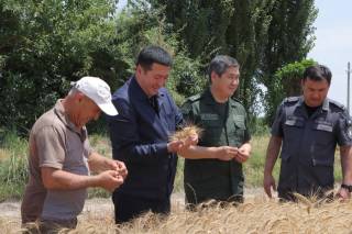 Гулистон ғаллакорлари зафар қучишди