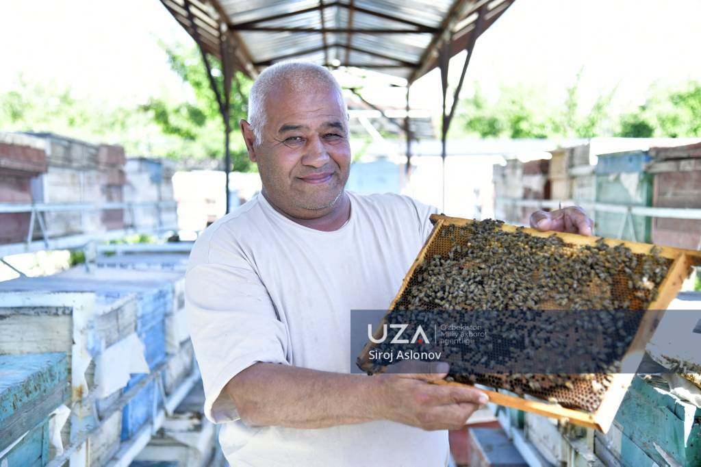 Қадриятлар ва тараққиёт уйғунлашган маскан