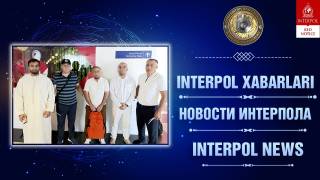Интерпол: ўта йирик миқдордаги фирибгарлик қилган шахслар Ўзбекистонга экстрадиция қилинди