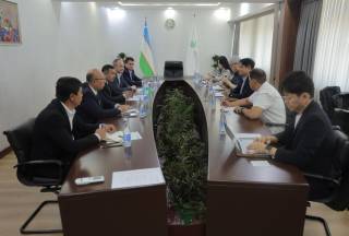 O‘zbekistonga Koreyadan yangi qulupnay navlari keltiriladi