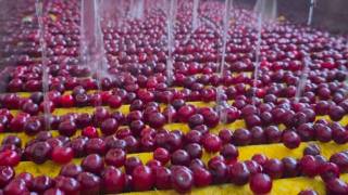 Увеличивается доля экспортоориентированной продукции