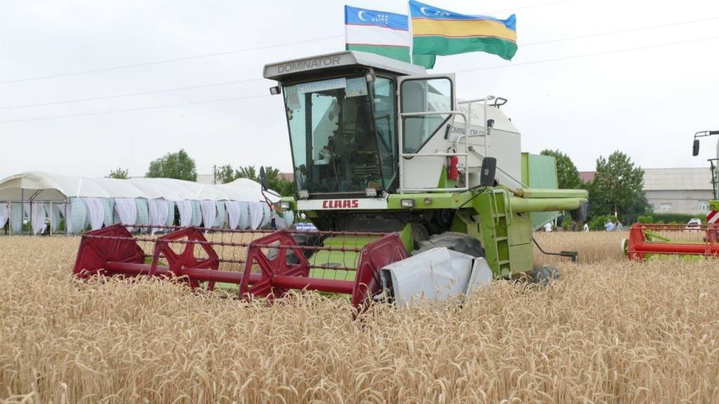 Қорақалпоғистон Республикасида ғалла топшириш режаси бажарилди