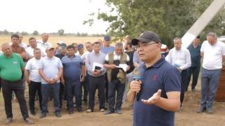 Вазир Жиззах вилояти далаларида бўлди